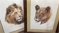 2 Lion Lithos Pencil Signed by Guy Coheleach