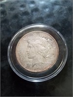 1923 AU with some color peace dollar