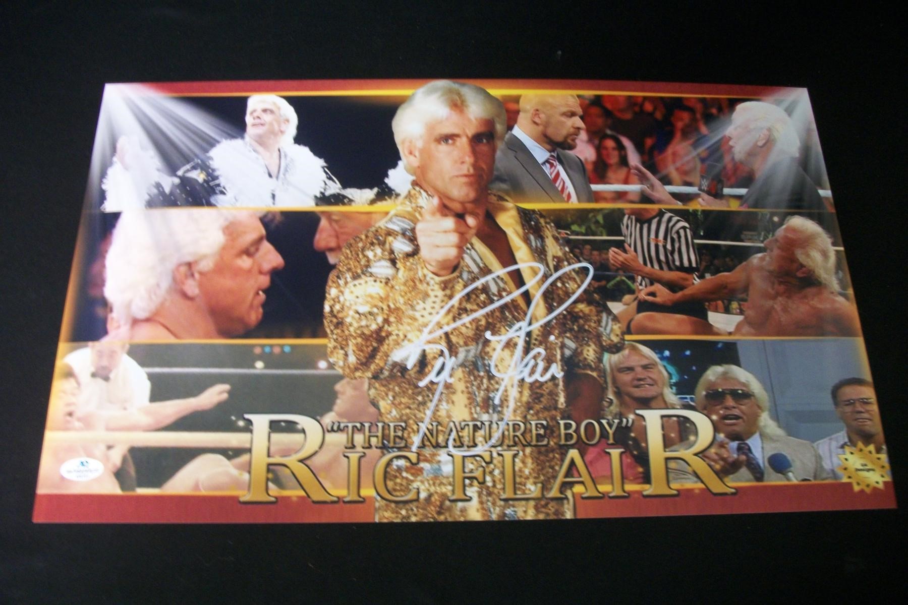 RIC FLAIR SIGNED PANORAMIC PHOTO FSG COA