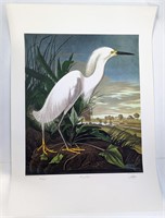 Snowy Egret John Audubon Master Edition Print