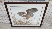 Framed Eagle Picture