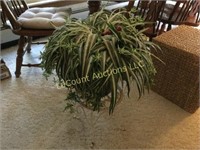 artificial spider plant on metal stand