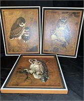 3 Retro Owl Framed Wall Art Prints