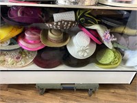 Assorted Style Ladies Hats