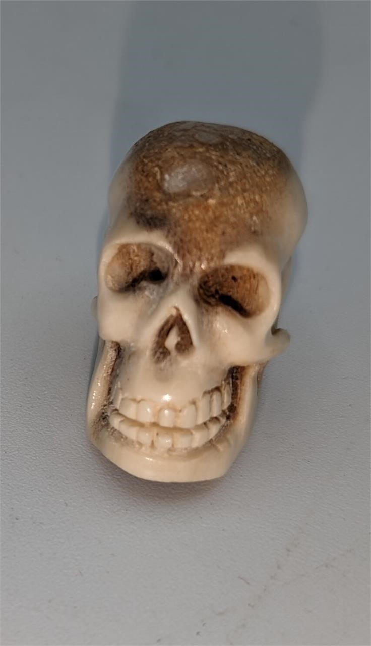 Highly Detailed Hand Carved Bone Skull