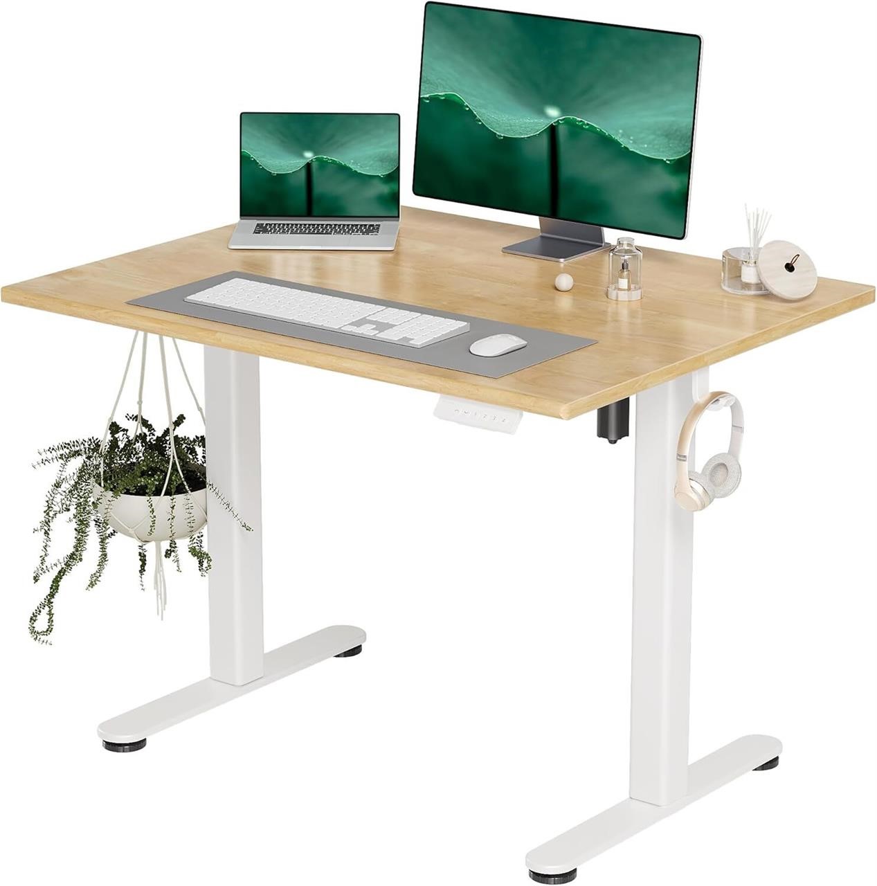 Standing Desk  40x24 Inches  White/Natural