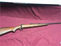 Stevens Rifle Model 110e 3006