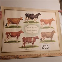 Dairy Breed Poster