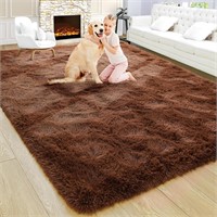 Noahas 6x9 Brown Fluffy Rug  Thick Carpet