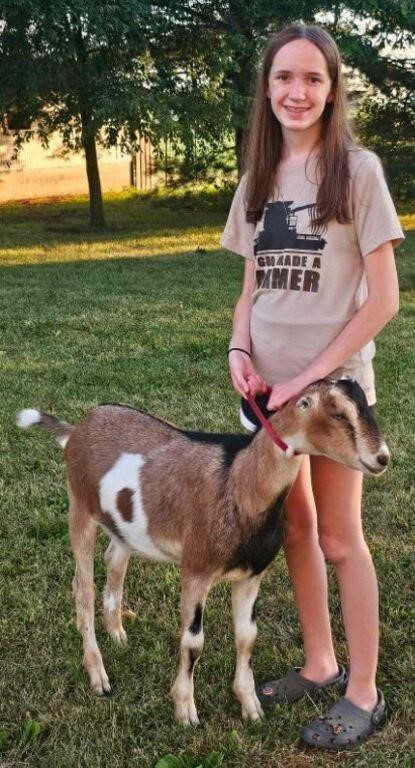 Jay County 4-H Livestock Auction