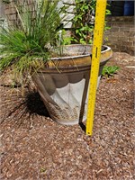 Planter- See Pictures