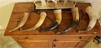 Collection of Real Cattle Horns