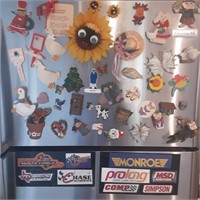 fridge Magnet collection