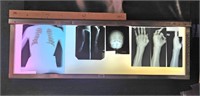X-Ray Box with Human Anatomy X-Rays. 59.25" Long