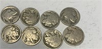 8 Buffalo Nickel Coins