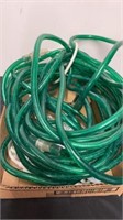 Green rope lights