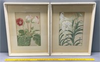 2 Asian Floral Prints Framed