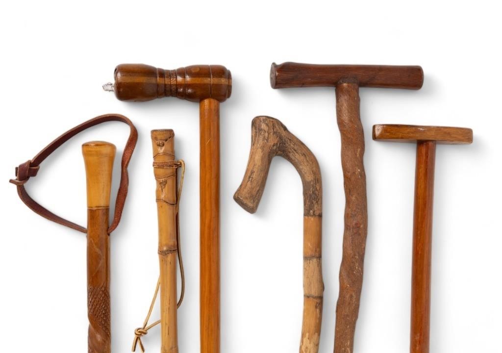 Collectable Canes & Walking Sticks