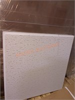 Armstrong 24"x24" Ceiling Tiles