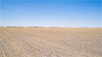 Tract 1-73.79 Acres in Nobles County, MN