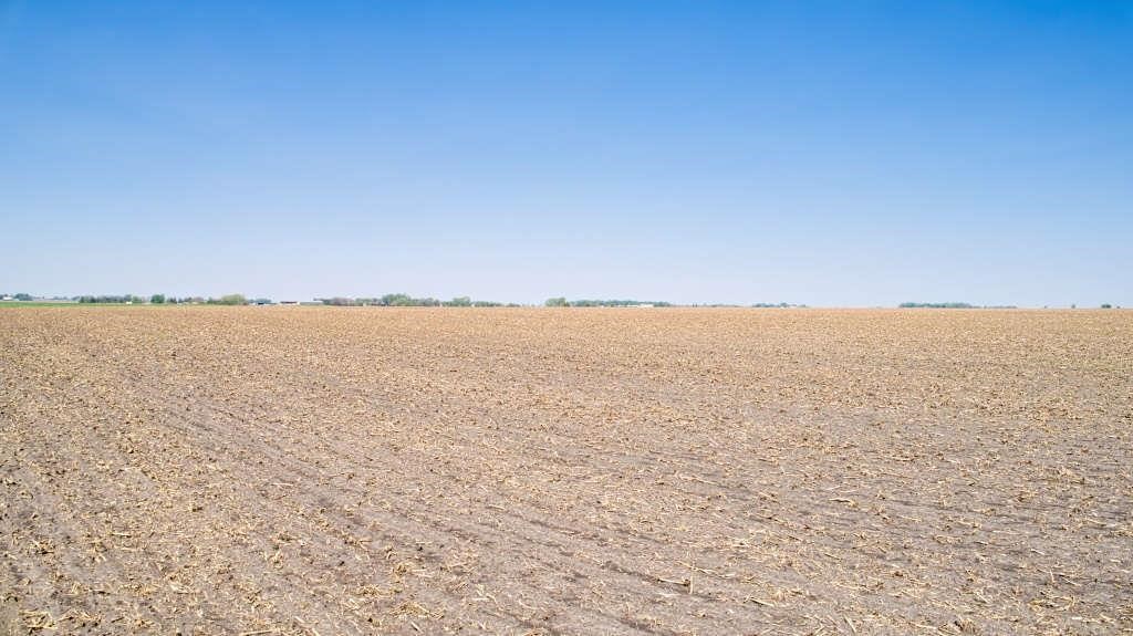 514.89 Acres m/l in Nobles and Jackson County, MN