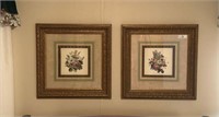 Pair of Framed Floral Prints