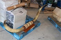 Mounted Long Horn