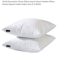 16x16 Decorative Throw Pillow