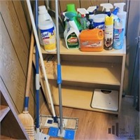 Cleaning Supplies and Shelf