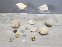 Shells & Coins, etc..