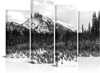 Snow Mountain Canvas Art  Banff National Park