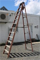 Green Bull 12' Fiberglass Aluminum Ladder