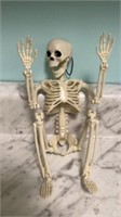 Fred the fun skeleton, articulated 16 inches