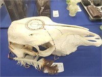 DECORATED COW SKULL