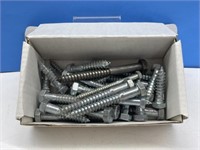 30 Lag Bolts