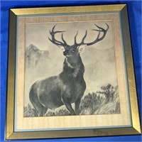 FRAMED 12 POINT BUCK