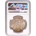 Morgan Silver Dollar 1900-O MS64 NGC Toning