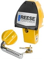 Reese Towpower 7066900 Professional Universal