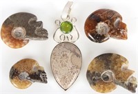 AMMONITE FOSSILS & CORAL FOSSIL PENDANT - LOT OF 5