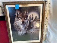 **PICTURE NIGHT LIFE SERIES TIMBER WOLF 649/750