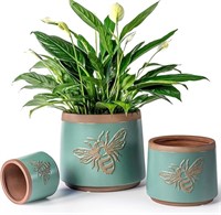 Ybx Terracotta Pots 8/6/4 Inch With Drainage