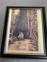 Vintage Framed Stage Coach Photo