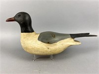 Ed Smith Black-Headed Seagull, glass eyes, solid