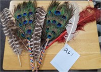 Turkey and peacock feathers