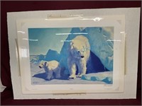 Unframed signed, numbered polar bear print