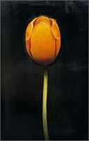 Michael Gregory 'Tulip' Oil on Panel