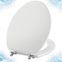 Elongated White Toilet Seat