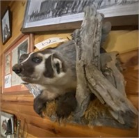 Stuffed Honey Badger