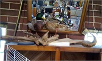 Wood Ducks Taxidermy