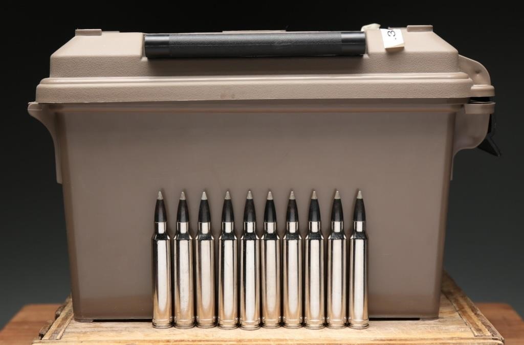 300 Winchester Mag Ballistic Silver Tip Ammo (146)